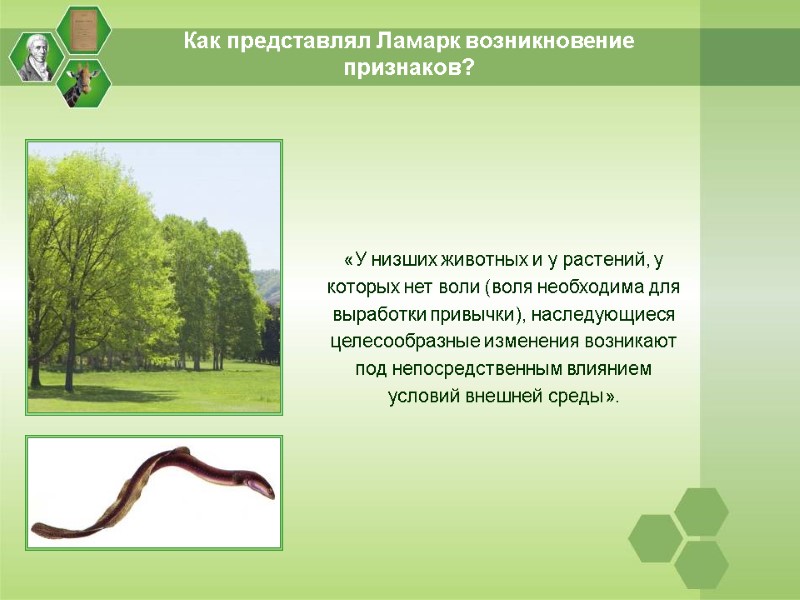 Как представлял Ламарк возникновение признаков? «У низших животных и у растений, у которых нет